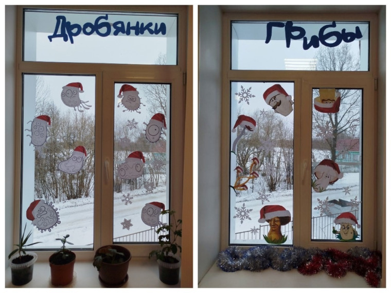 Акция "Новогодние окна".